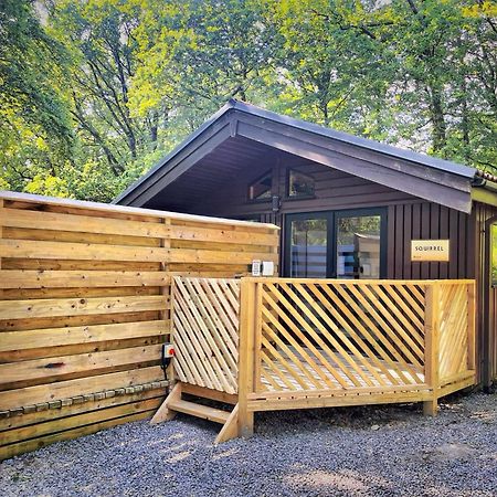 The Squirrel Lodge - Hot Tub - Pet Friendly - Pembrokeshire-Tenby كرمرثن المظهر الخارجي الصورة