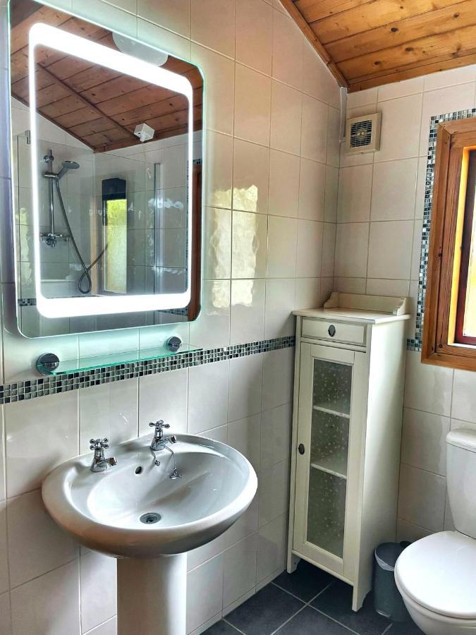 The Squirrel Lodge - Hot Tub - Pet Friendly - Pembrokeshire-Tenby كرمرثن المظهر الخارجي الصورة